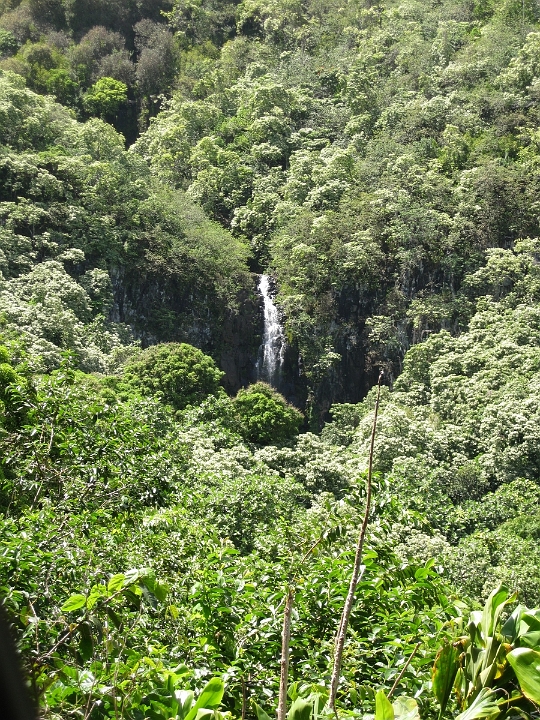 23 Road to Hana.jpg
